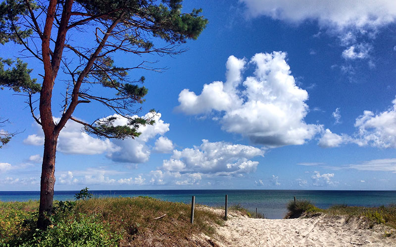 Ostsee Strand Urlaub